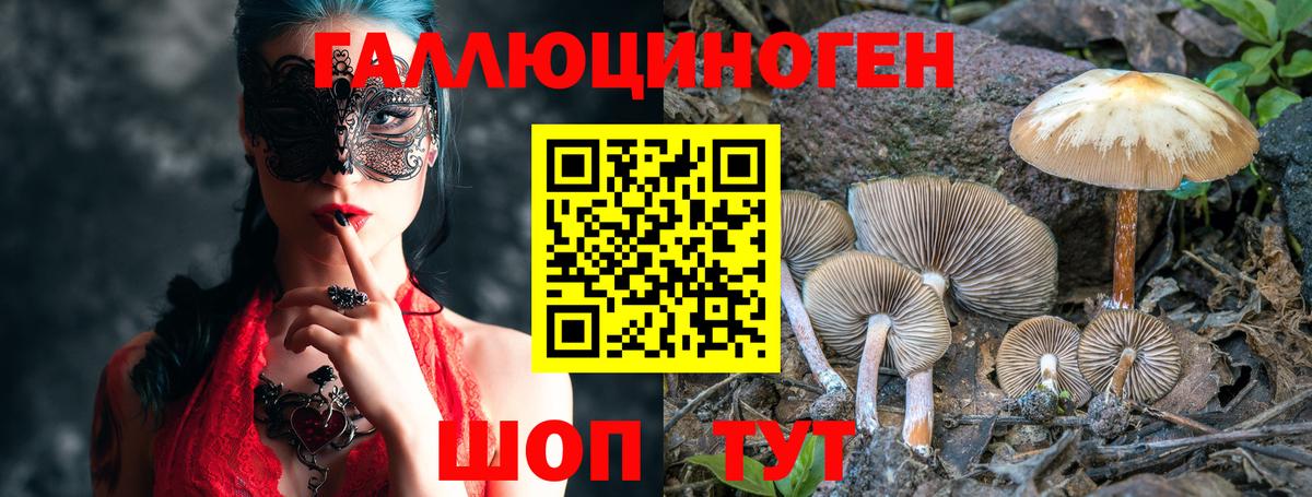 Красный Сулин  Псилоцибиновые грибы Psilocybe  Галлюциногенные грибы GOLDEN TEACHER  Вход с VPN 
