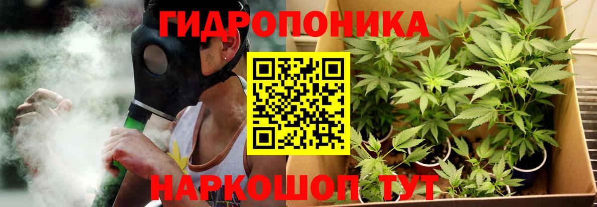 Шишки марихуана Amnesia Красный Сулин