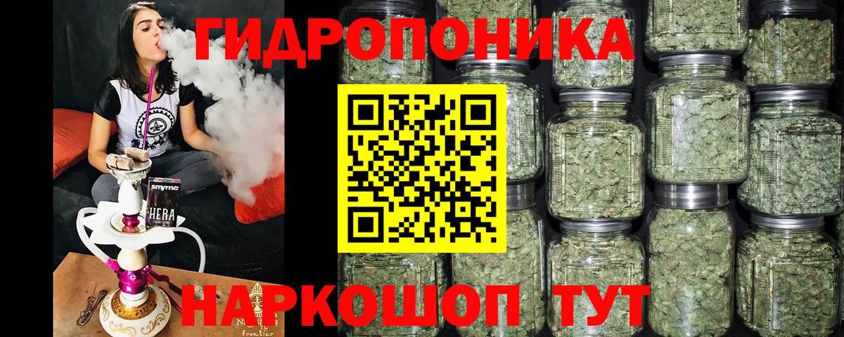 Бошки марихуана гибрид  Конопля White Widow  Красный Сулин  Бошки Шишки индика  Марихуана конопля  Вход с VPN 